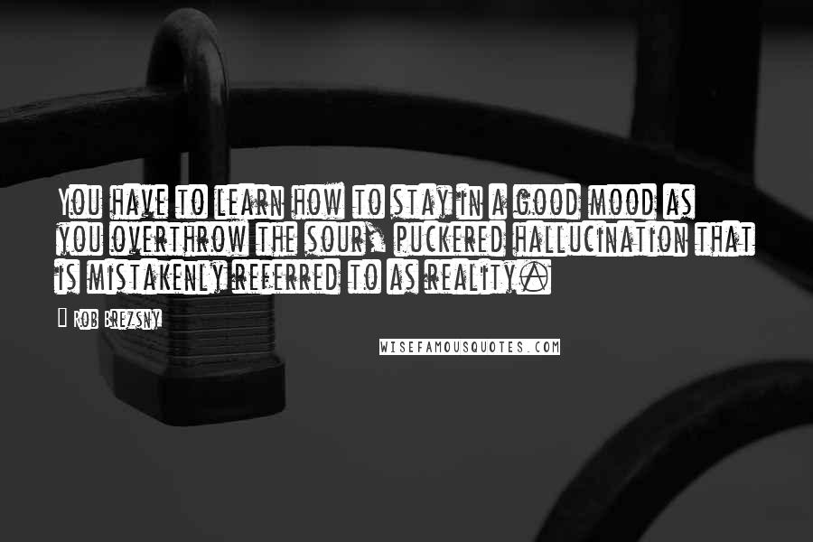 Rob Brezsny Quotes: You have to learn how to stay in a good mood as you overthrow the sour, puckered hallucination that is mistakenly referred to as reality.