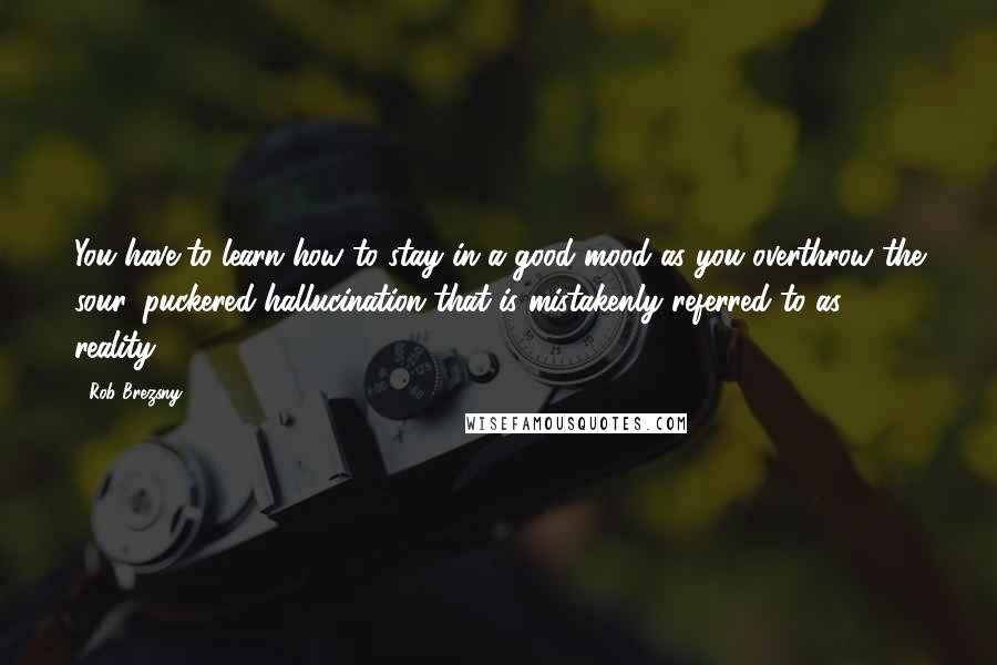 Rob Brezsny Quotes: You have to learn how to stay in a good mood as you overthrow the sour, puckered hallucination that is mistakenly referred to as reality.