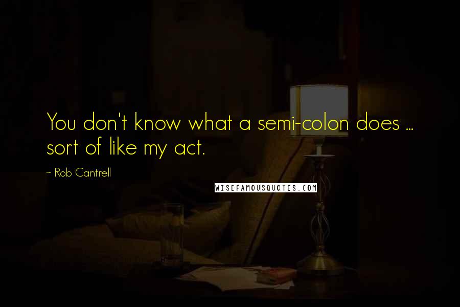 Rob Cantrell Quotes: You don't know what a semi-colon does ... sort of like my act.