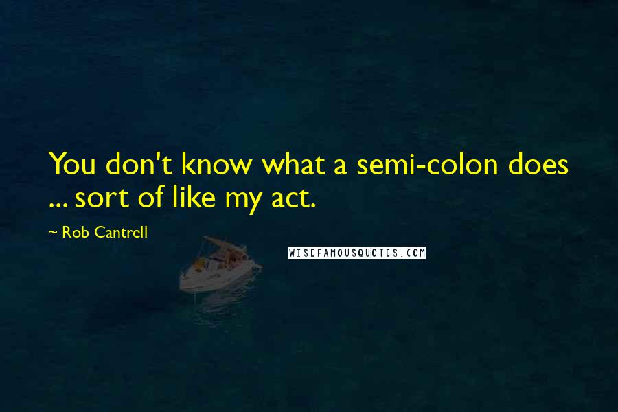 Rob Cantrell Quotes: You don't know what a semi-colon does ... sort of like my act.
