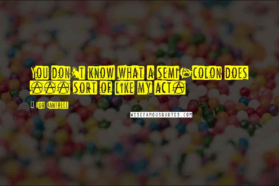 Rob Cantrell Quotes: You don't know what a semi-colon does ... sort of like my act.