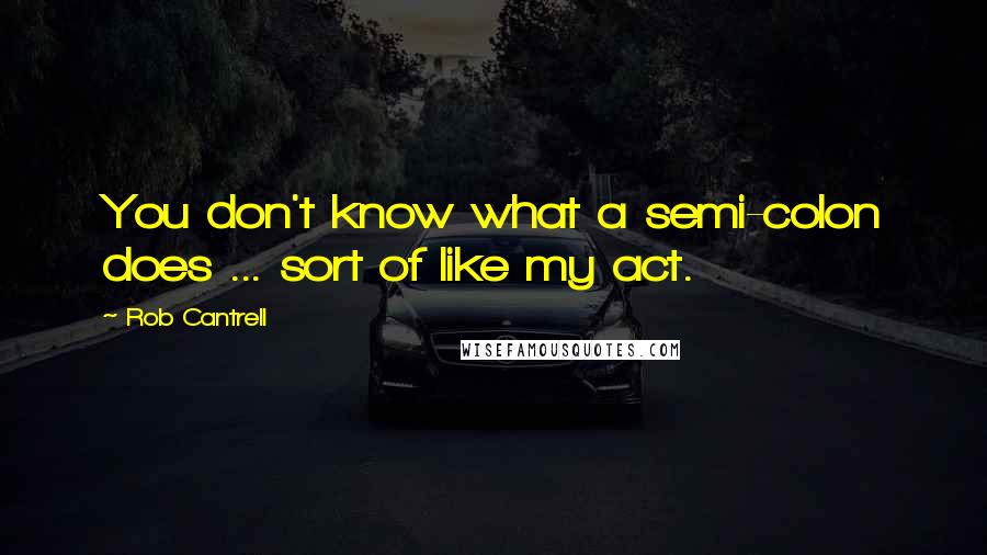 Rob Cantrell Quotes: You don't know what a semi-colon does ... sort of like my act.