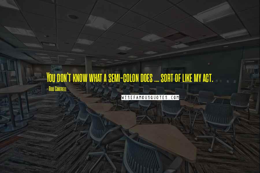 Rob Cantrell Quotes: You don't know what a semi-colon does ... sort of like my act.