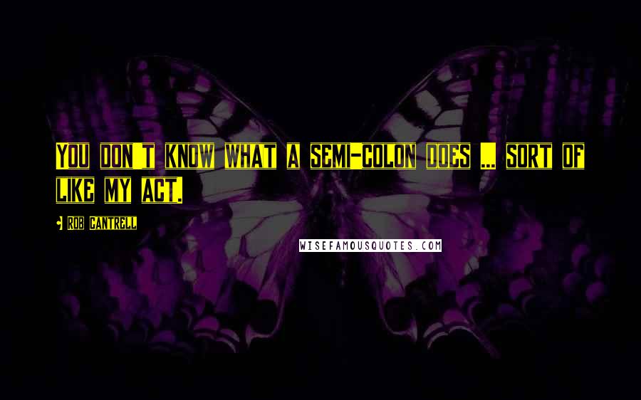 Rob Cantrell Quotes: You don't know what a semi-colon does ... sort of like my act.