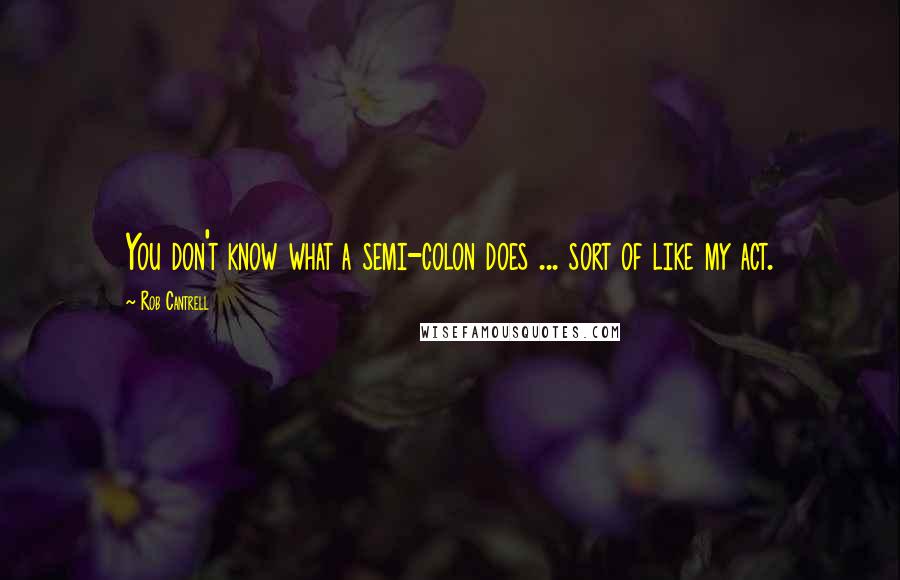 Rob Cantrell Quotes: You don't know what a semi-colon does ... sort of like my act.