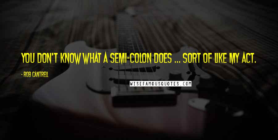 Rob Cantrell Quotes: You don't know what a semi-colon does ... sort of like my act.