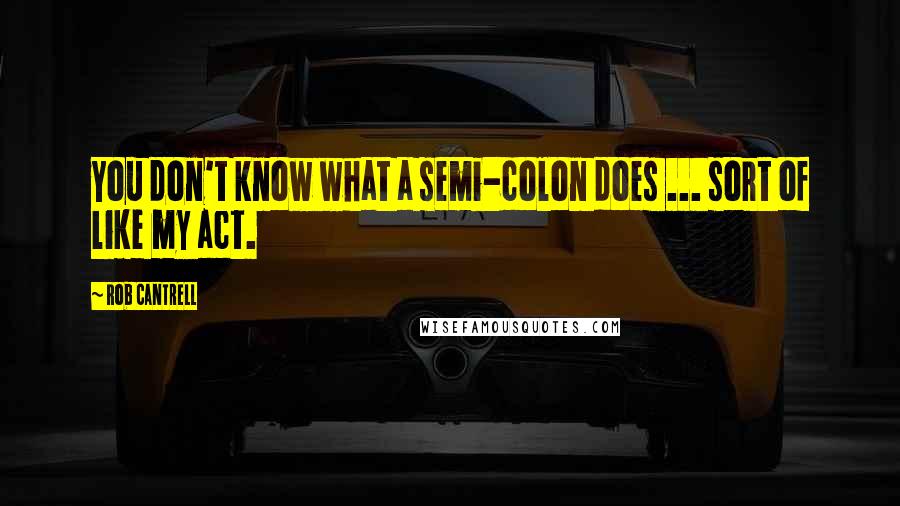 Rob Cantrell Quotes: You don't know what a semi-colon does ... sort of like my act.
