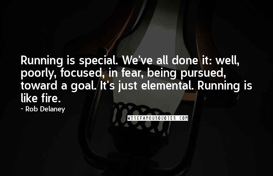 Rob Delaney Quotes: Running is special. We've all done it: well, poorly, focused, in fear, being pursued, toward a goal. It's just elemental. Running is like fire.