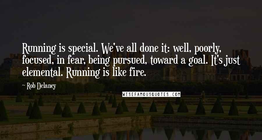 Rob Delaney Quotes: Running is special. We've all done it: well, poorly, focused, in fear, being pursued, toward a goal. It's just elemental. Running is like fire.