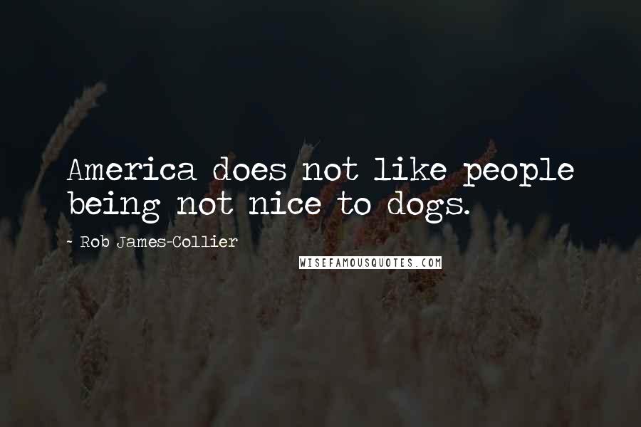 Rob James-Collier Quotes: America does not like people being not nice to dogs.