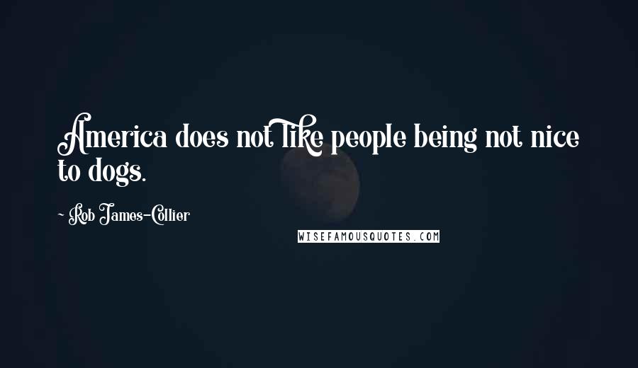 Rob James-Collier Quotes: America does not like people being not nice to dogs.