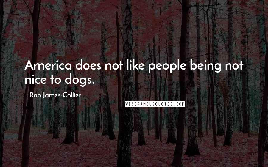 Rob James-Collier Quotes: America does not like people being not nice to dogs.