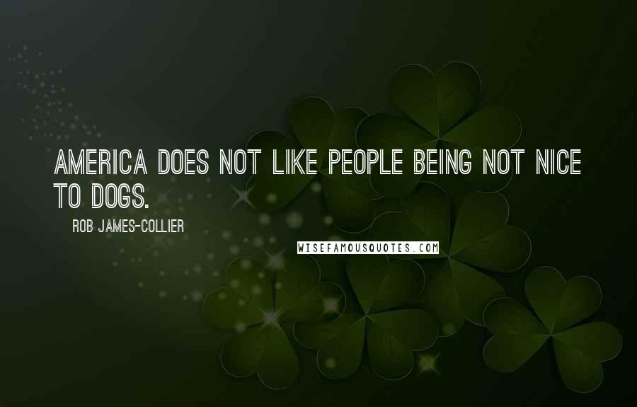 Rob James-Collier Quotes: America does not like people being not nice to dogs.