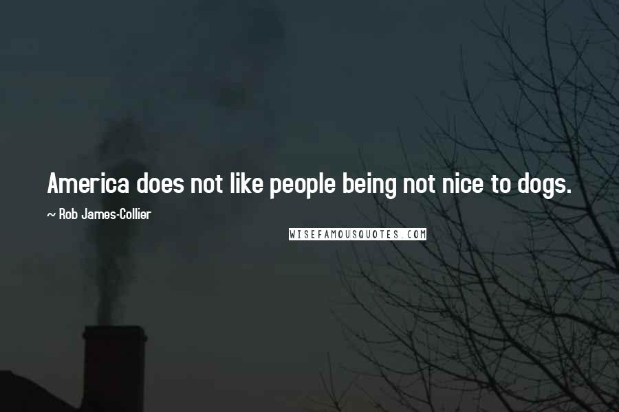 Rob James-Collier Quotes: America does not like people being not nice to dogs.