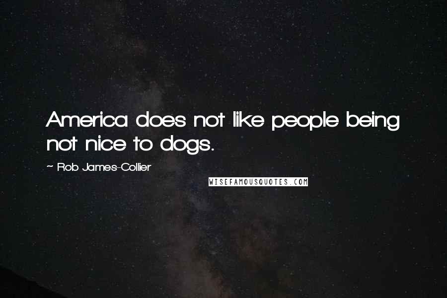 Rob James-Collier Quotes: America does not like people being not nice to dogs.