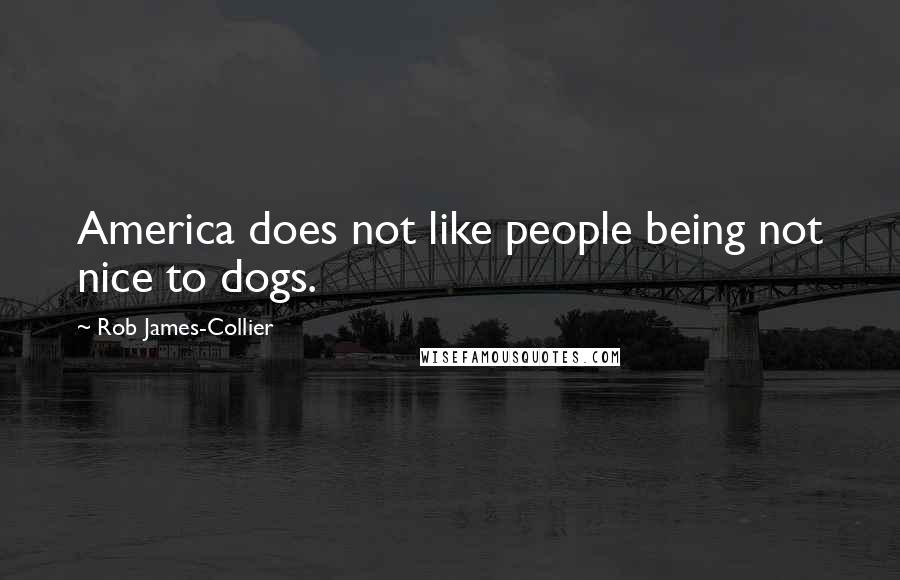 Rob James-Collier Quotes: America does not like people being not nice to dogs.