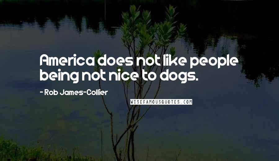 Rob James-Collier Quotes: America does not like people being not nice to dogs.