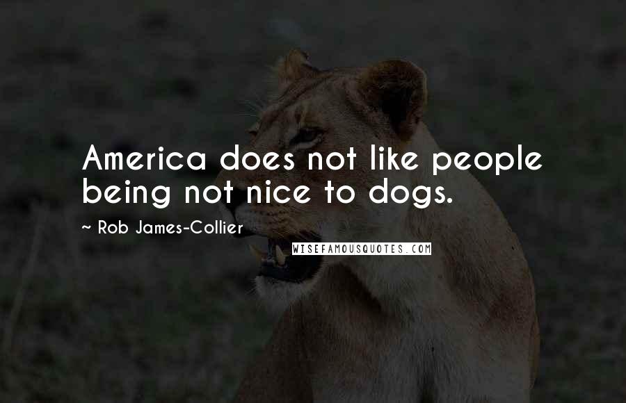 Rob James-Collier Quotes: America does not like people being not nice to dogs.