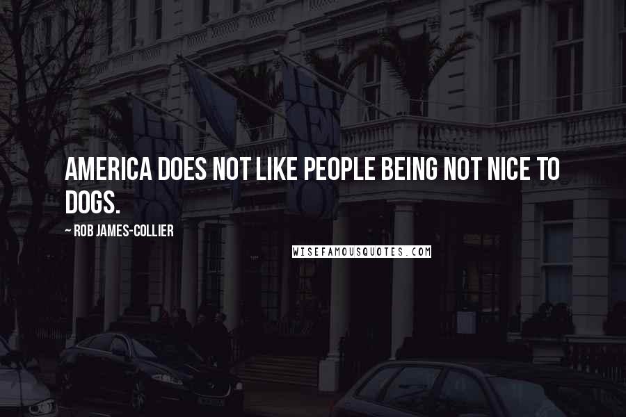 Rob James-Collier Quotes: America does not like people being not nice to dogs.