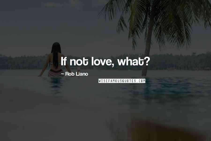 Rob Liano Quotes: If not love, what?