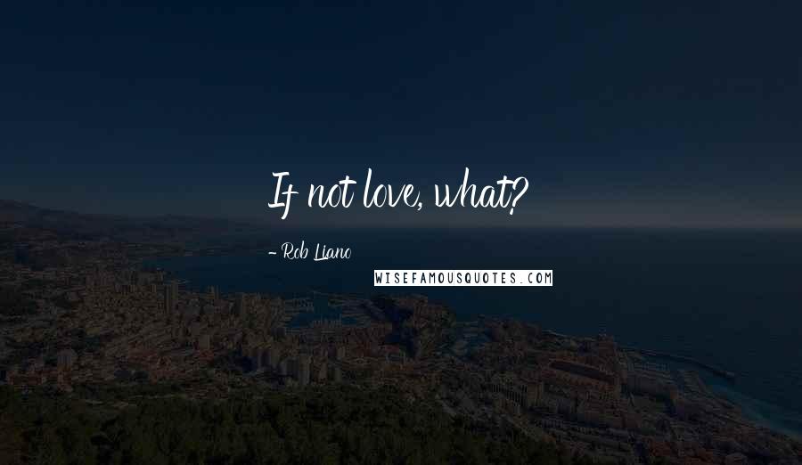 Rob Liano Quotes: If not love, what?