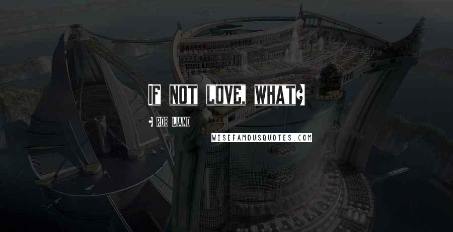 Rob Liano Quotes: If not love, what?