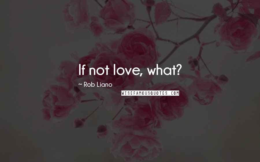 Rob Liano Quotes: If not love, what?