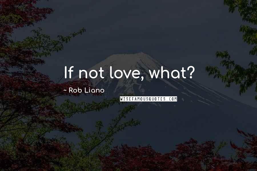 Rob Liano Quotes: If not love, what?