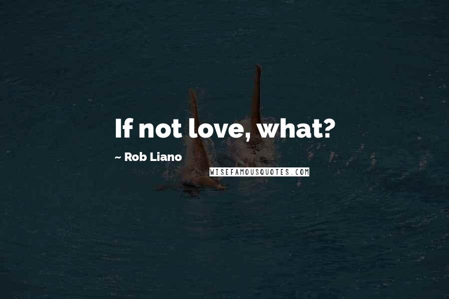 Rob Liano Quotes: If not love, what?