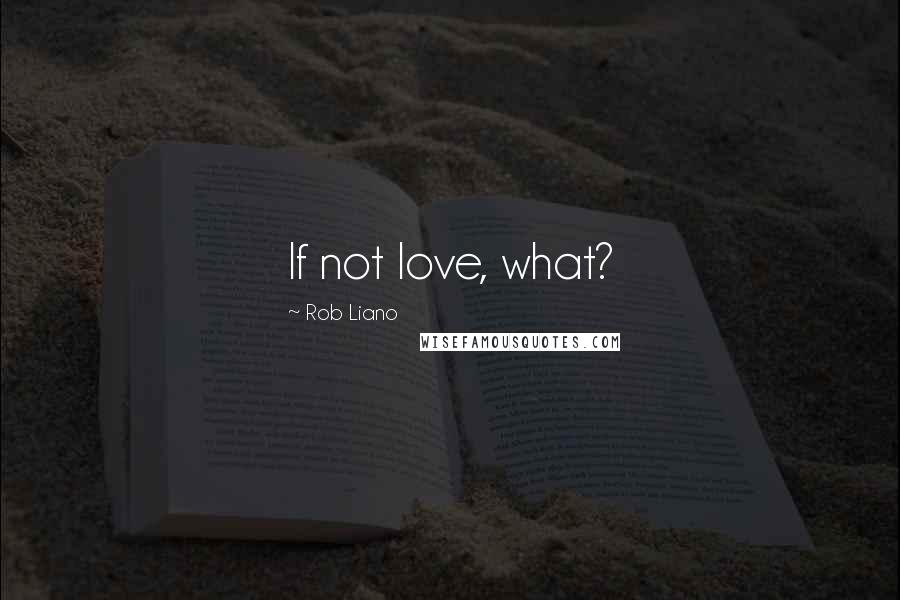 Rob Liano Quotes: If not love, what?