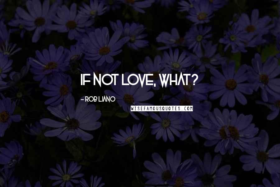 Rob Liano Quotes: If not love, what?