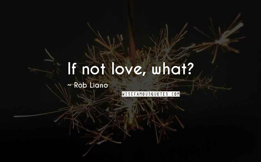 Rob Liano Quotes: If not love, what?