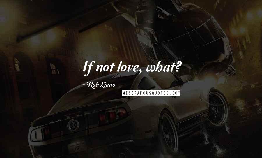 Rob Liano Quotes: If not love, what?