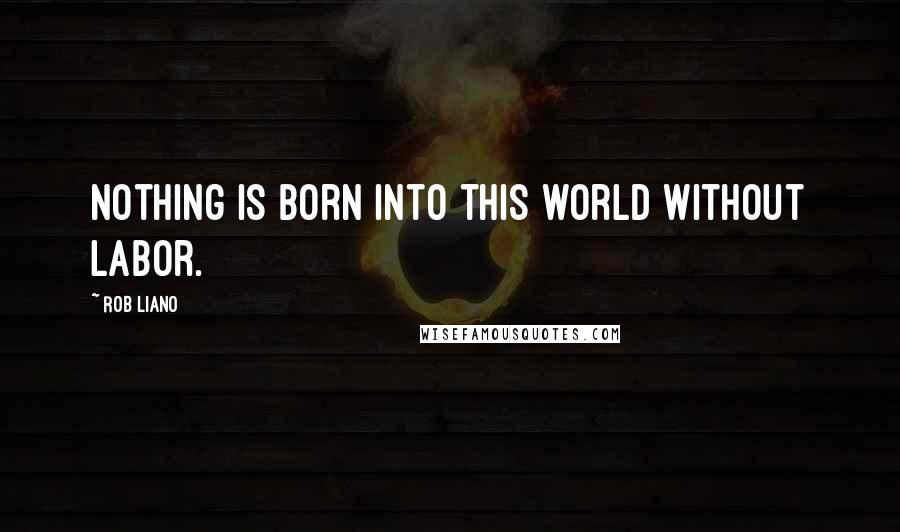 Rob Liano Quotes: Nothing is born into this world without labor.