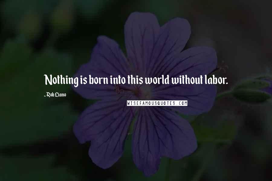 Rob Liano Quotes: Nothing is born into this world without labor.