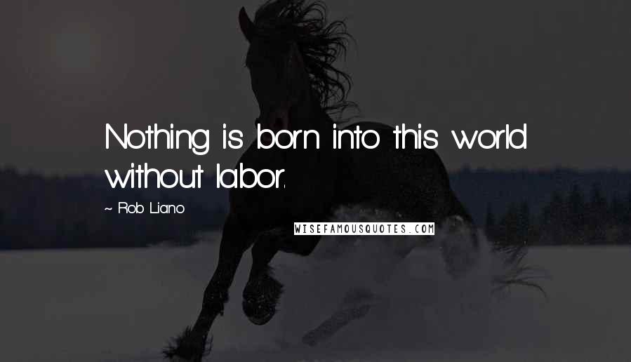 Rob Liano Quotes: Nothing is born into this world without labor.