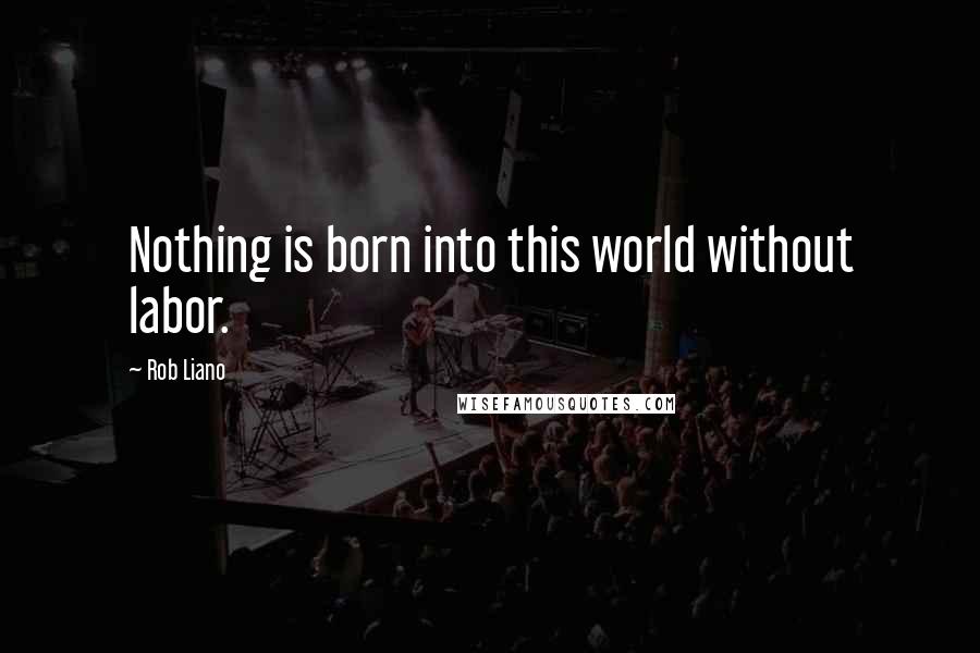 Rob Liano Quotes: Nothing is born into this world without labor.