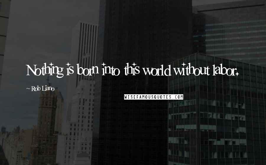 Rob Liano Quotes: Nothing is born into this world without labor.