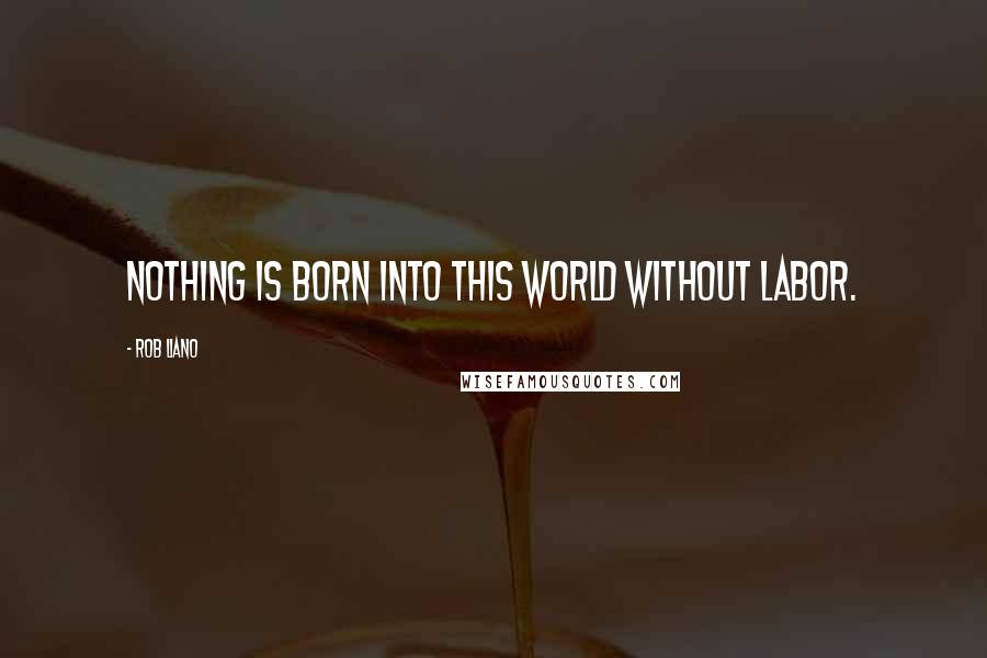 Rob Liano Quotes: Nothing is born into this world without labor.