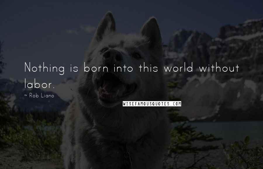 Rob Liano Quotes: Nothing is born into this world without labor.