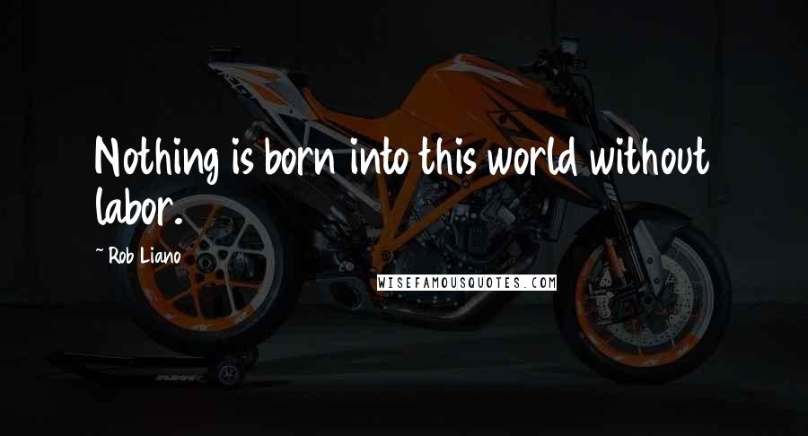 Rob Liano Quotes: Nothing is born into this world without labor.