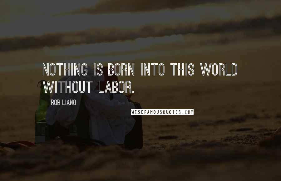 Rob Liano Quotes: Nothing is born into this world without labor.