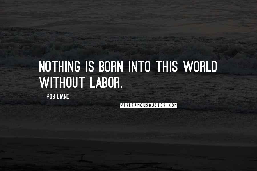 Rob Liano Quotes: Nothing is born into this world without labor.