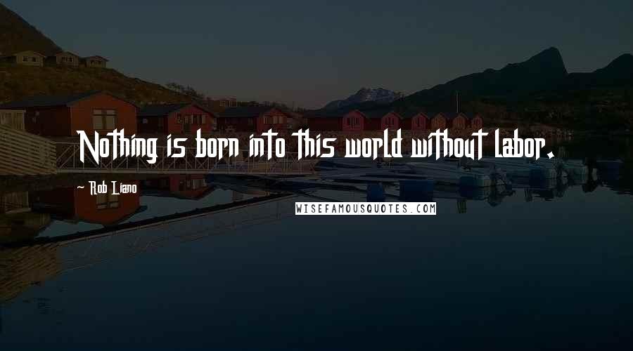 Rob Liano Quotes: Nothing is born into this world without labor.