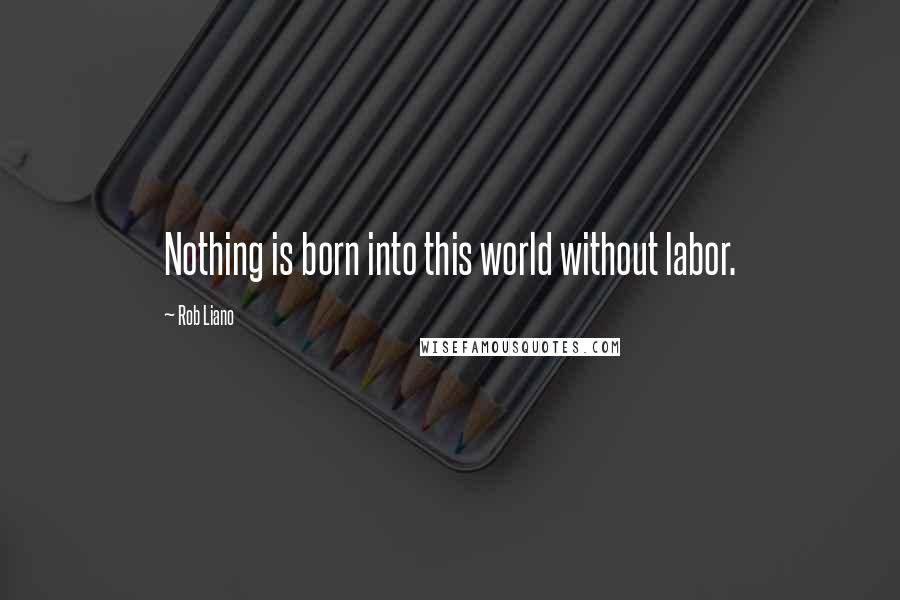 Rob Liano Quotes: Nothing is born into this world without labor.