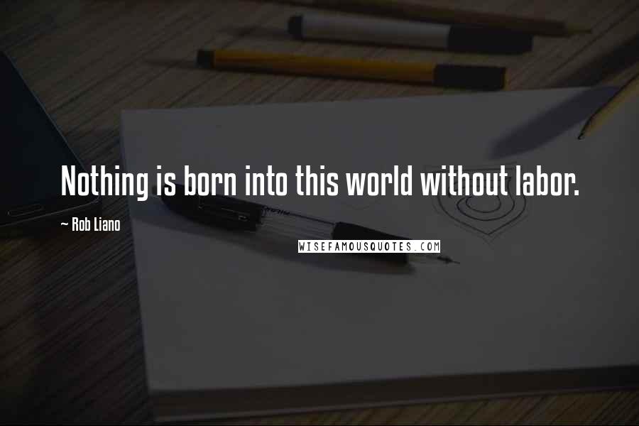 Rob Liano Quotes: Nothing is born into this world without labor.