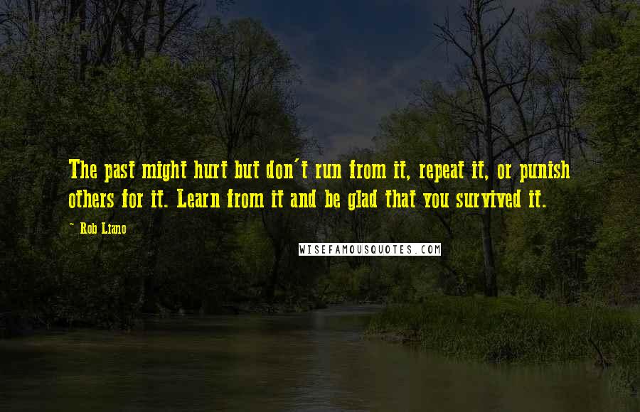 Rob Liano Quotes: The past might hurt but don't run from it, repeat it, or punish others for it. Learn from it and be glad that you survived it.