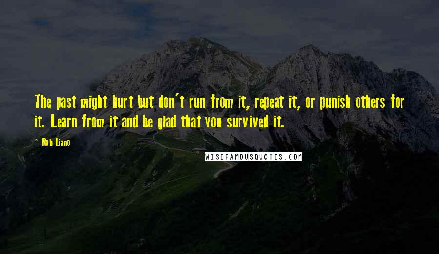 Rob Liano Quotes: The past might hurt but don't run from it, repeat it, or punish others for it. Learn from it and be glad that you survived it.