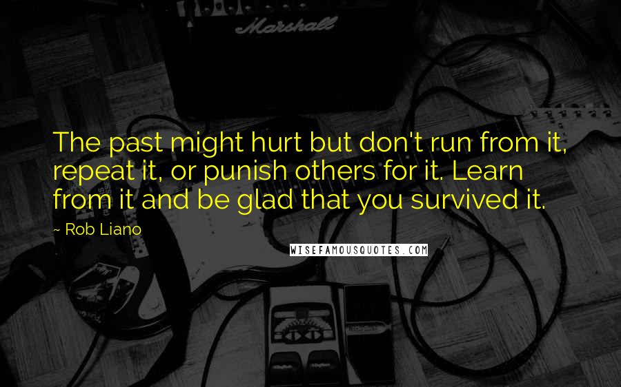 Rob Liano Quotes: The past might hurt but don't run from it, repeat it, or punish others for it. Learn from it and be glad that you survived it.