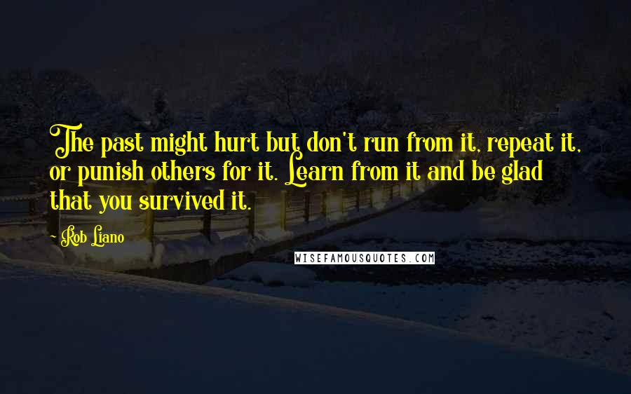 Rob Liano Quotes: The past might hurt but don't run from it, repeat it, or punish others for it. Learn from it and be glad that you survived it.